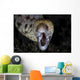 Unidentified Moray Eel Komodo Wall Decal
