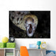 Unidentified Moray Eel Komodo Wall Decal