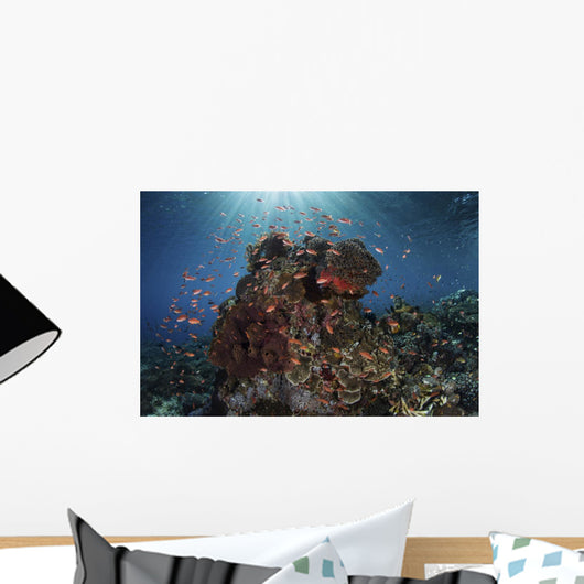 Reef Fish Swimming Landscape Wall Decal