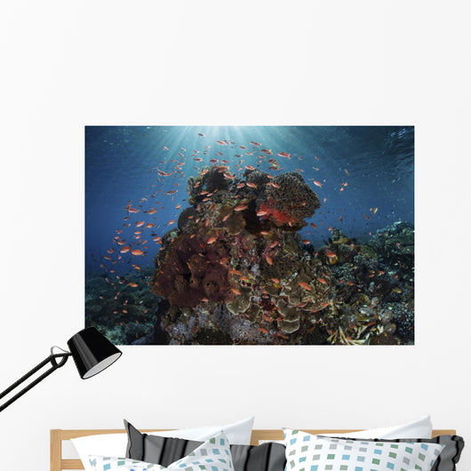 Reef Fish Swimming Landscape Wall Decal