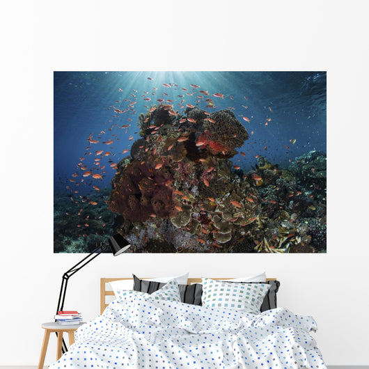 Reef Fish Swimming Landscape Wall Decal