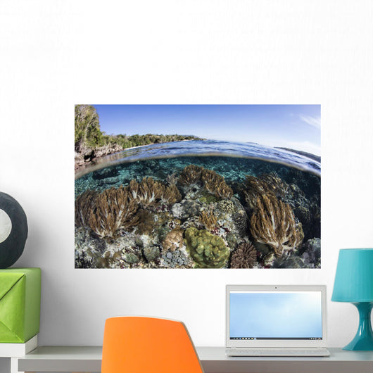 Beautiful Coral Reef Thrives Wall Decal