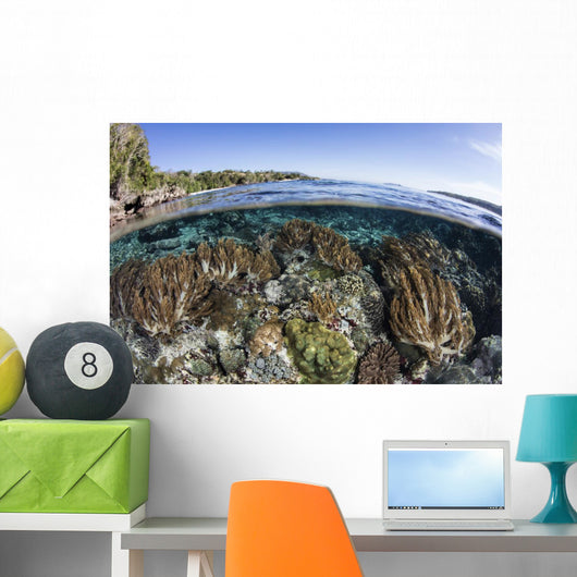 Beautiful Coral Reef Thrives Wall Decal