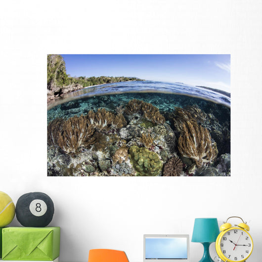 Beautiful Coral Reef Thrives Wall Decal