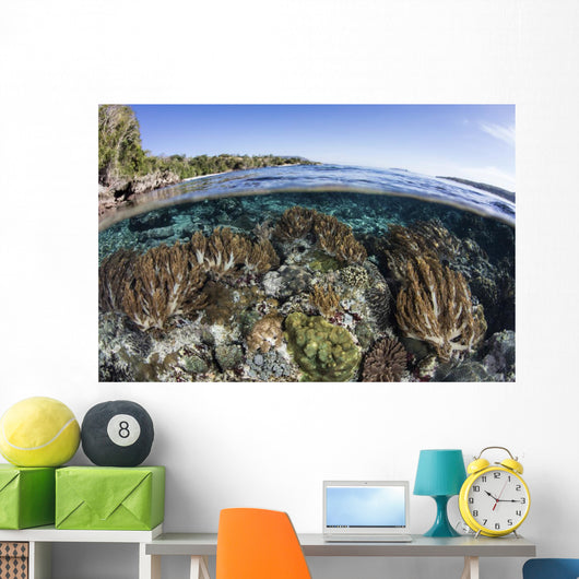 Beautiful Coral Reef Thrives Wall Decal