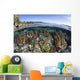 Beautiful Coral Reef Thrives Wall Decal
