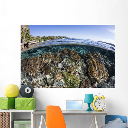Beautiful Coral Reef Thrives Wall Decal