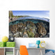 Beautiful Coral Reef Thrives Wall Decal