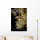 Well-camouflaged Leaf Scorpionfish Waits Vertical Wall Decal