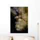 Well-camouflaged Leaf Scorpionfish Waits Vertical Wall Decal