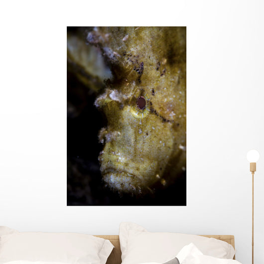 Well-camouflaged Leaf Scorpionfish Waits Vertical Wall Decal