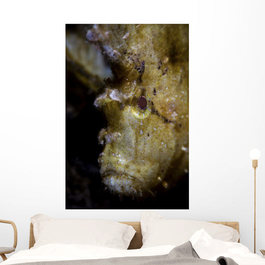 Well-camouflaged Leaf Scorpionfish Waits Vertical Wall Decal