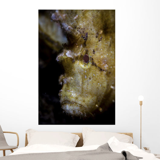 Well-camouflaged Leaf Scorpionfish Waits Vertical Wall Decal