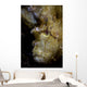 Well-camouflaged Leaf Scorpionfish Waits Vertical Wall Decal