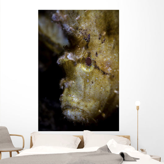 Well-camouflaged Leaf Scorpionfish Waits Vertical Wall Decal