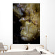 Well-camouflaged Leaf Scorpionfish Waits Vertical Wall Decal