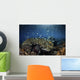 Colorful Reef Fish Swim Landscape Wall Decal