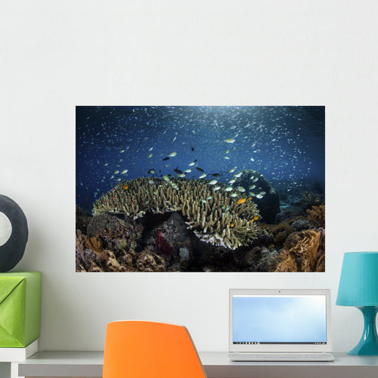 Colorful Reef Fish Swim Landscape Wall Decal