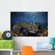 Colorful Reef Fish Swim Landscape Wall Decal
