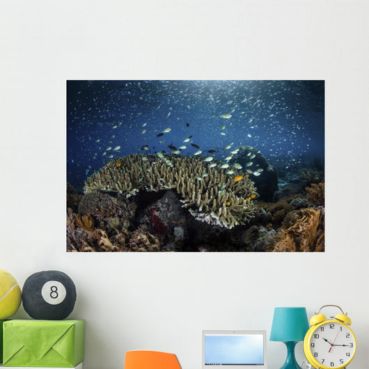 Colorful Reef Fish Swim Landscape Wall Decal