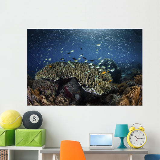 Colorful Reef Fish Swim Landscape Wall Decal
