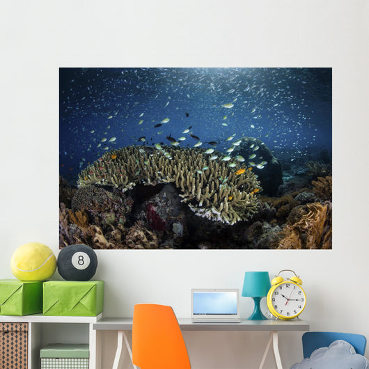 Colorful Reef Fish Swim Landscape Wall Decal