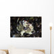 Warty Frogfish Is Well-camouflaged Right Profile Wall Decal