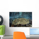 School Blue-green Damselfish Swimming Wall Decal