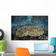 School Blue-green Damselfish Swimming Wall Decal