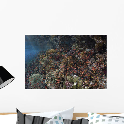 Reef Fish Swimming along Wall Decal