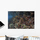 Reef Fish Swimming along Wall Decal