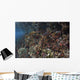 Reef Fish Swimming along Wall Decal