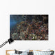 Reef Fish Swimming along Wall Decal
