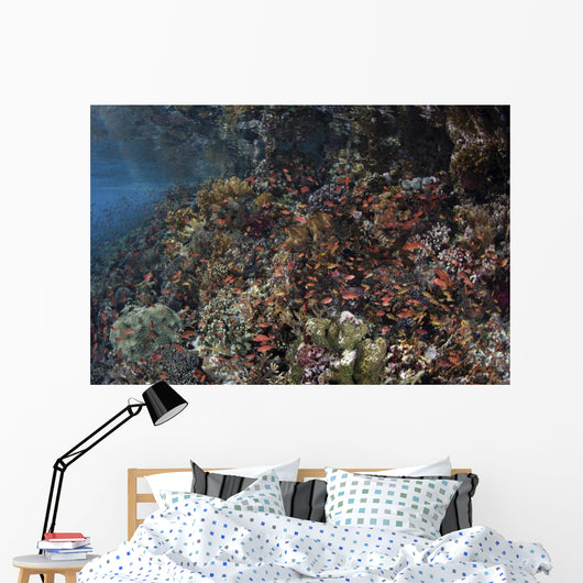 Reef Fish Swimming along Wall Decal