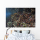 Reef Fish Swimming along Wall Decal