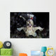 Warty Frogfish Is Well-camouflaged Close-up Wall Decal