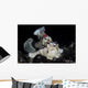 Warty Frogfish Is Well-camouflaged Wall Decal