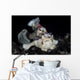 Warty Frogfish Is Well-camouflaged Wall Decal