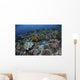 Gorgeous Coral Reef Thrives Wall Decal