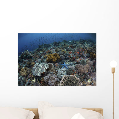 Gorgeous Coral Reef Thrives Wall Decal shown on a wall