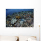 Gorgeous Coral Reef Thrives Wall Decal