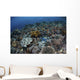 Gorgeous Coral Reef Thrives Wall Decal