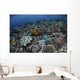 Gorgeous Coral Reef Thrives Wall Decal