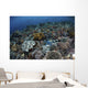 Gorgeous Coral Reef Thrives Wall Decal