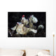 Warty Frogfish Is Well-camouflaged Left Profile Wall Decal