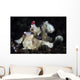 Warty Frogfish Is Well-camouflaged Left Profile Wall Decal