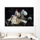 Warty Frogfish Is Well-camouflaged Left Profile Wall Decal