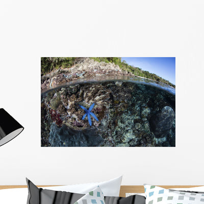 Blue Starfish Clings to Wall Decal shown on a wall