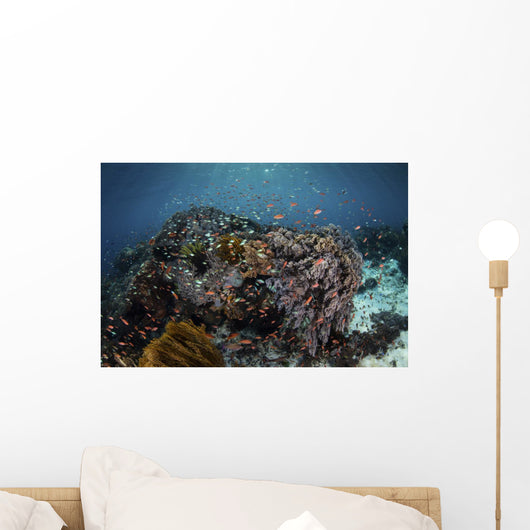 Reef Fish Swimming Distant Wall Decal