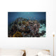 Reef Fish Swimming Distant Wall Decal